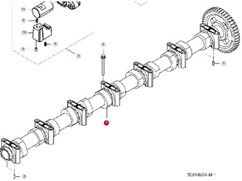 : foto do cabeçalho