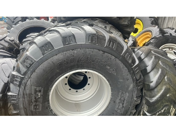Roda completa