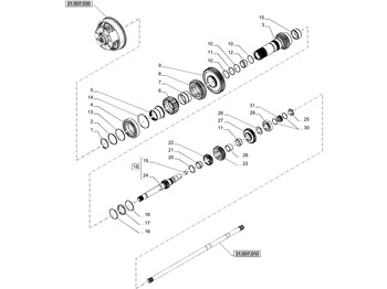 : foto do cabeçalho