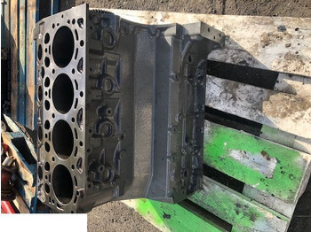 : foto do cabeçalho