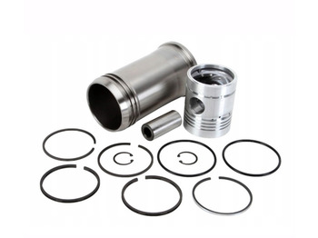 Piston/ Anel/ Buch URSUS