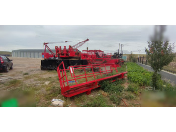 Guindaste sobre esteiras 2009 MANITOWOC 18000: foto 2
