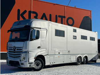 Camião de transporte de cavalos MERCEDES-BENZ Actros 2551