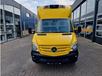 Carrinha frigorífica Mercedes-Benz Sprinter 516 CDI koelkoffer Carrier Pulsor 400 MT ST 380V Euro 6: foto 3