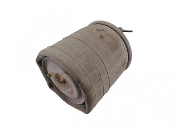 Suspensão a ar SCANIA