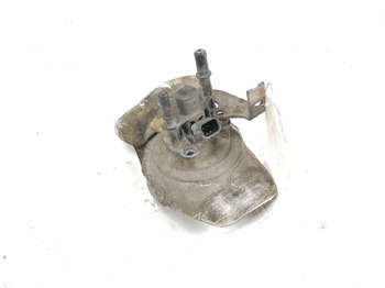 : foto do cabeçalho