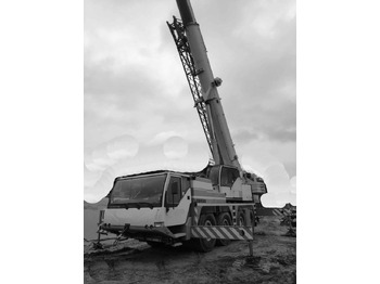 Grua móvel LIEBHERR LTM 1060/2