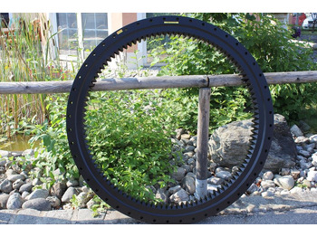 : foto do cabeçalho