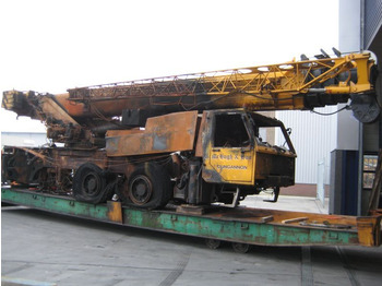 Grua todo o terreno TEREX