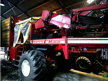 Colheitadeira Grimme SE 170-60-UB XXL: foto 3