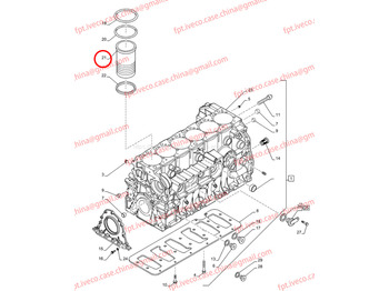 Piston/ Anel/ Buch para Camião FPT IVECO CASE Cursor9 F2CFE614A*B041/F2CGE614F*V004 5802431166 Cylinder liner 504125561 504202218 504305866: foto 4