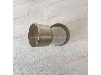 Piston/ Anel/ Buch IVECO