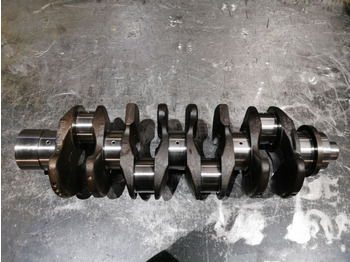 : foto do cabeçalho