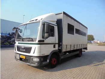Camião furgão MAN TGL 10.180