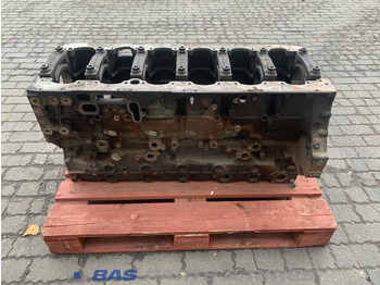 : foto do cabeçalho