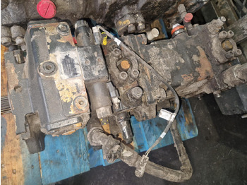 : foto do cabeçalho