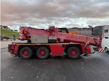 Grua móvel TEREX Demag AC 40-1 City: foto 5