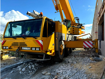 Grua móvel DEMAG