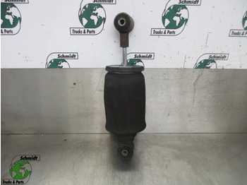 Cabine e interior MAN TGX