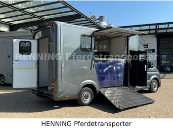 Camião de transporte de cavalos MAN TGE 3 - Sitzer *AUFBAU NEU* *SOZIALRAUM*: foto 5