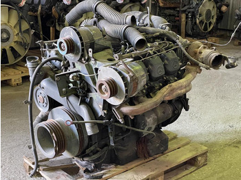 : foto do cabeçalho