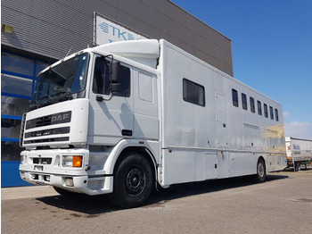 Camião de transporte de cavalos DAF 95 350