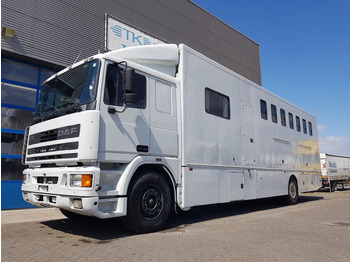 Camião de transporte de cavalos DAF 95 350