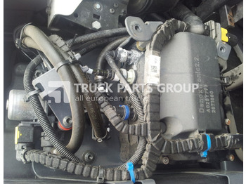 Sistema de escape DAF XF 106