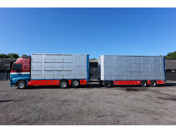 Camião transporte de gado VOLVO FH13 480