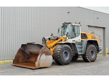 Pá carregadora de rodas Liebherr L 566 X POWER/ BJ 2022: foto 5