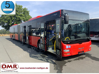 Autocarro articulado MAN Lion's City A23