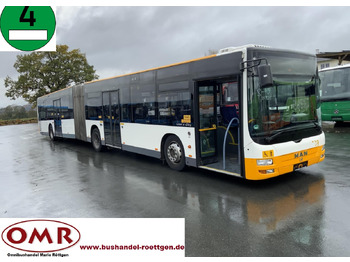 : foto do cabeçalho