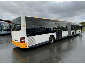 Autocarro articulado MAN A 23 Lion´s City: foto 4