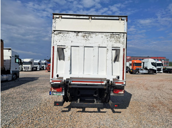 Camião isotérmico SCANIA P250 IZOTERMICZNY: foto 5