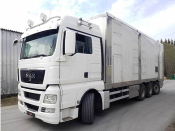 Camião transporte de gado MAN TGX