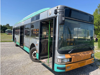 Ônibus urbano IRISBUS