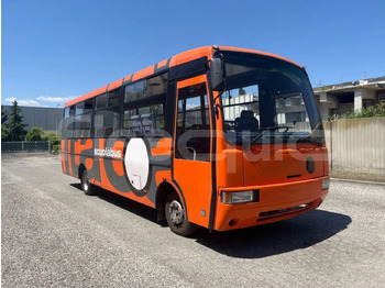Autocarro escolar IVECO