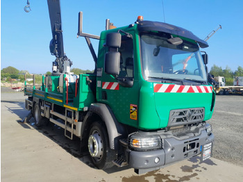 Camião, Camião grua Renault D250.13 4x2 Others Truck: foto 2