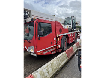 Grua todo o terreno TEREX