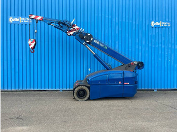 Mini grua