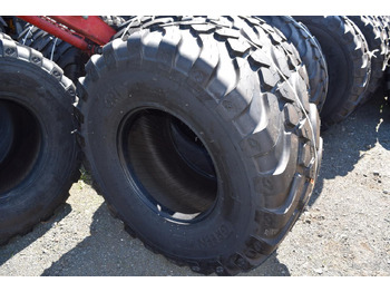 : foto do cabeçalho