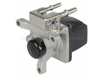 : foto do cabeçalho