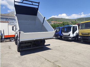 Camião grua IVECO STRALIS CUBE 190S33: foto 5