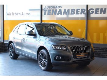 SUV Audi Q5 2.0 TDI  S-tronic quattro Panorama Kamera ACC: foto 2