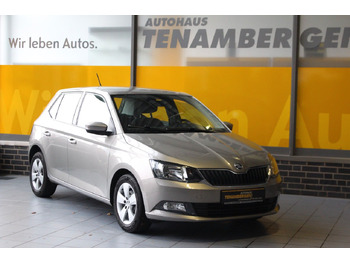 Hatchback Skoda Fabia Ambition Klima Tempomat Bluetooth: foto 2