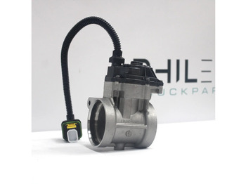 Sistema de escape MAN TGL