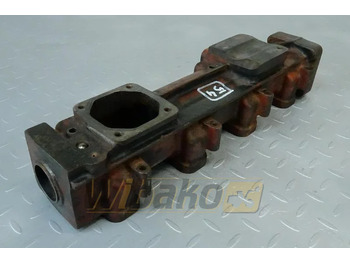 : foto do cabeçalho