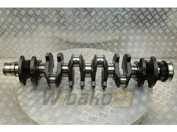 : foto do cabeçalho