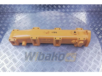 : foto do cabeçalho