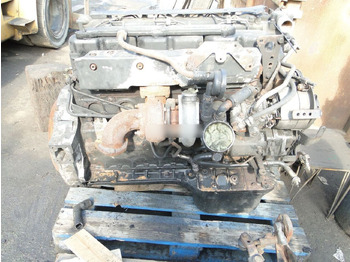 : foto do cabeçalho